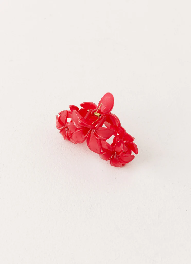 Pinces à cheveux Goji - Framboise